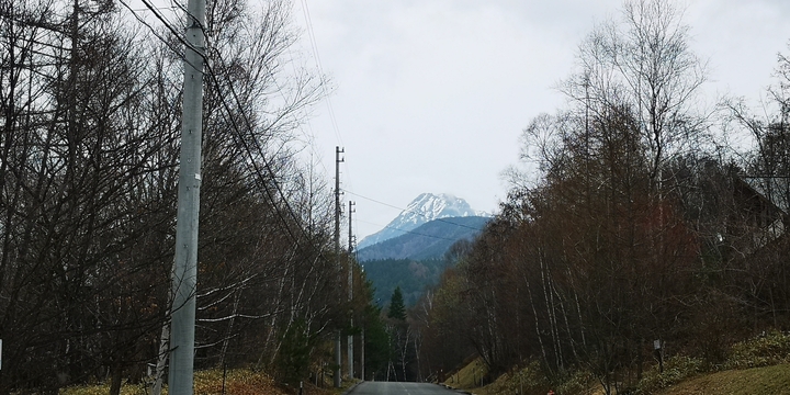IMG_20250420_105147.jpg