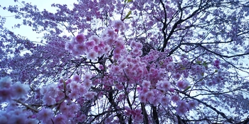 IMG_20250503_195056.jpg