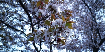 IMG_20250503_195846.jpg