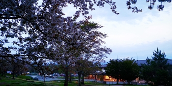 IMG_20250503_200215.jpg