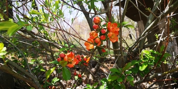 IMG_20250505_125913.jpg