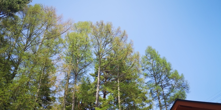 IMG_20250505_130017.jpg