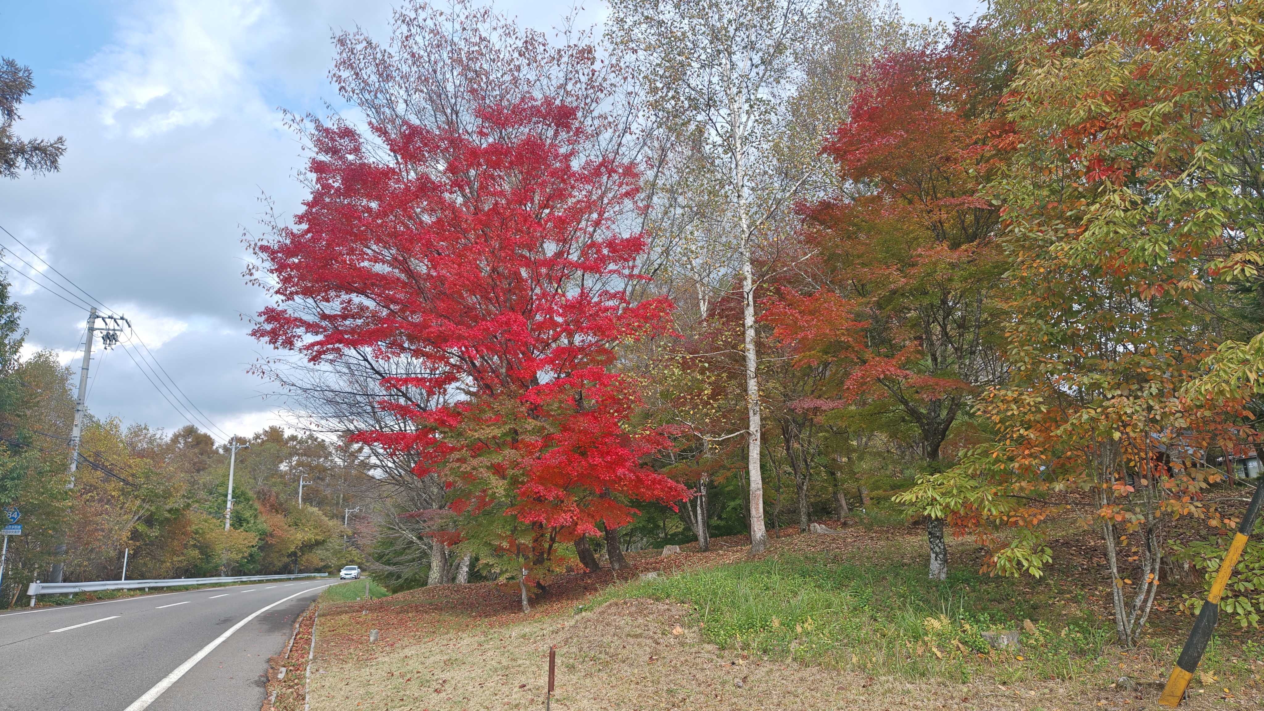 http://www.alpico.co.jp/shikinomori/news/b7fcc8cdcf7955abae35df0c6fe117916e341797.JPG