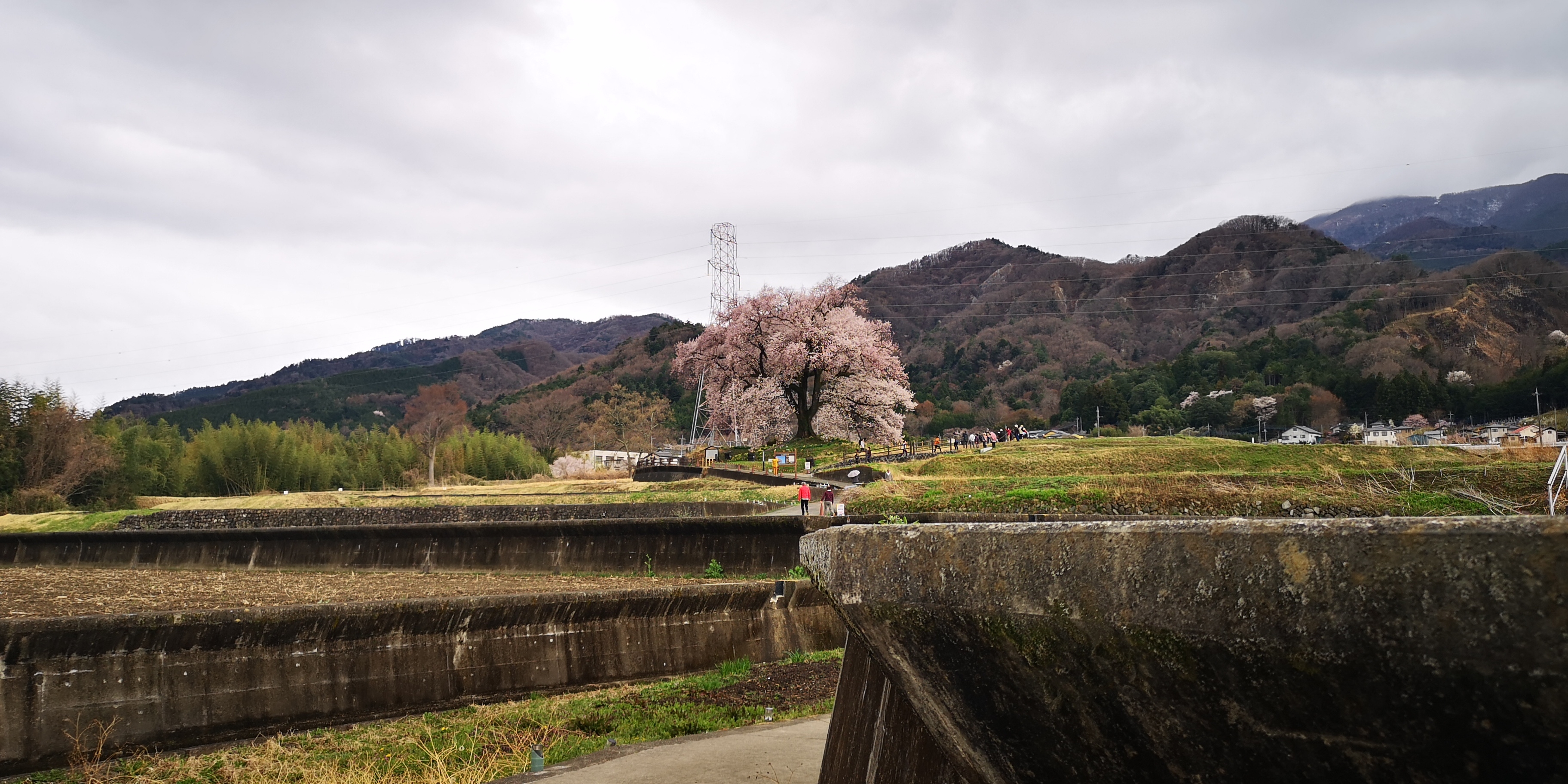 http://www.alpico.co.jp/shikinomori/news/be5252d29b92c18ebc16e301e2a02ba27ad0e499.jpg
