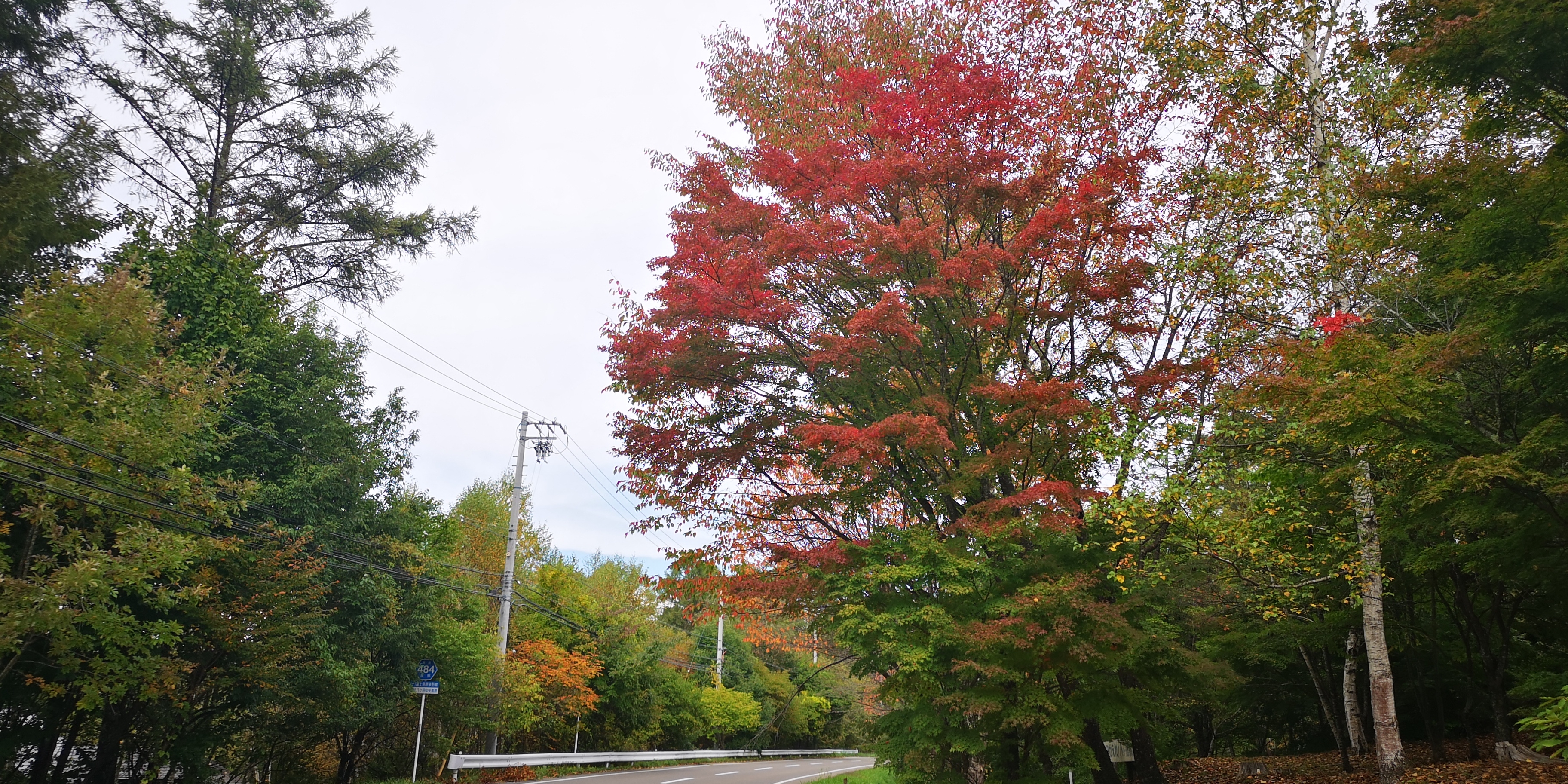 http://www.alpico.co.jp/shikinomori/news/f286e039032b9d1a23dbc44ae8fa66beac2f3969.jpg