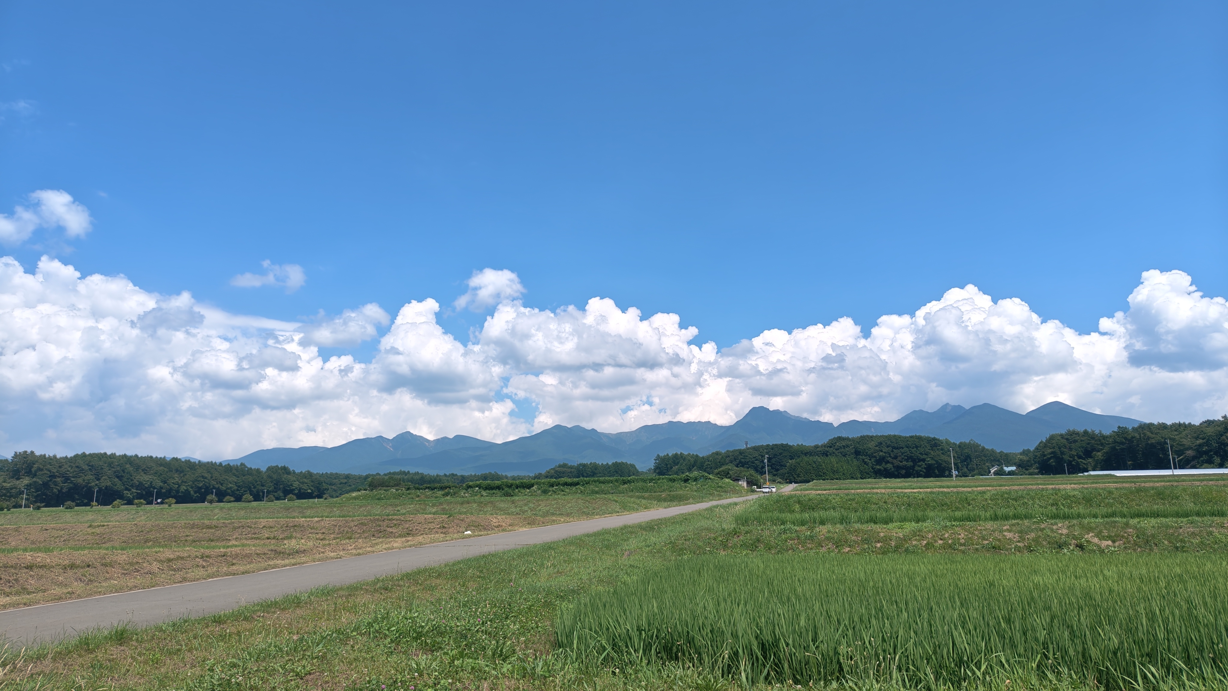 http://www.alpico.co.jp/shikinomori/news/f9080e7e8c2c2c745d00f4b5ea0b3d248e1a5d16.JPG