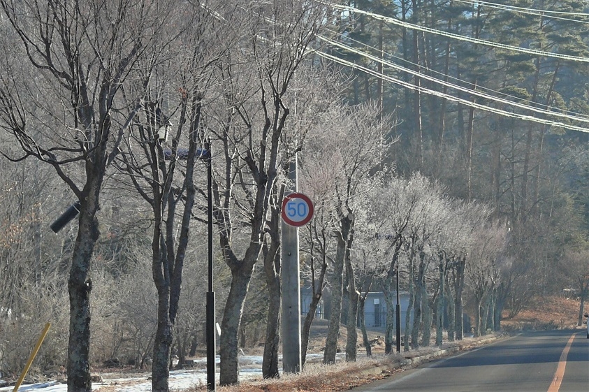 http://www.alpico.co.jp/shikinomori/news/images/050e06e91303daa4efc8d2b1f0997404b388e1eb.JPG