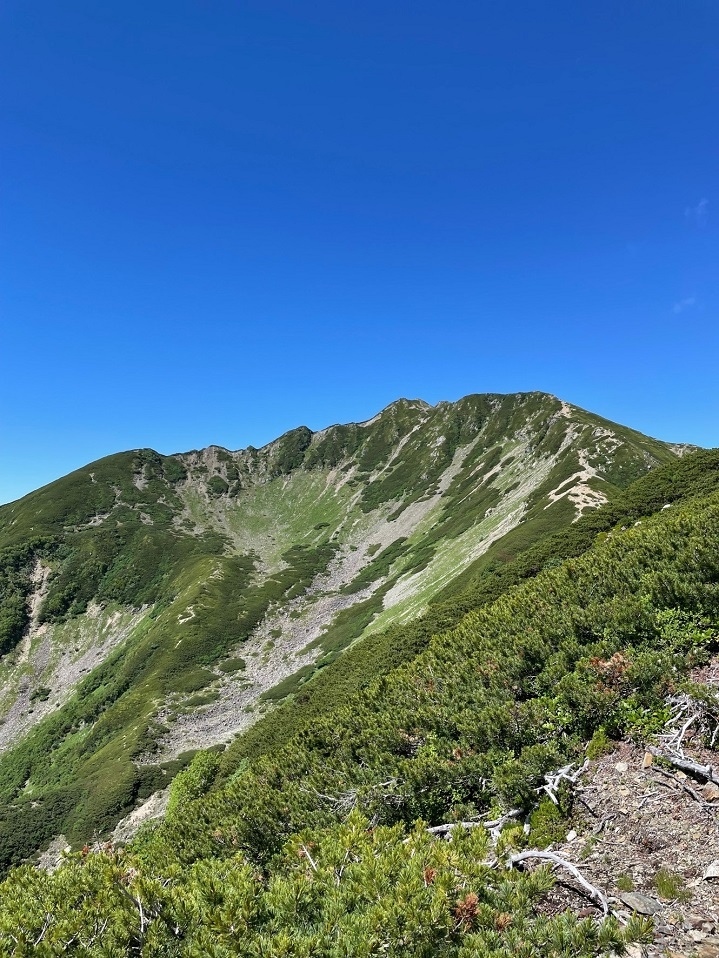 http://www.alpico.co.jp/shikinomori/news/images/0e70a58fd7cdaaa2c2803f2f09d9c43f674e9b67.jpg