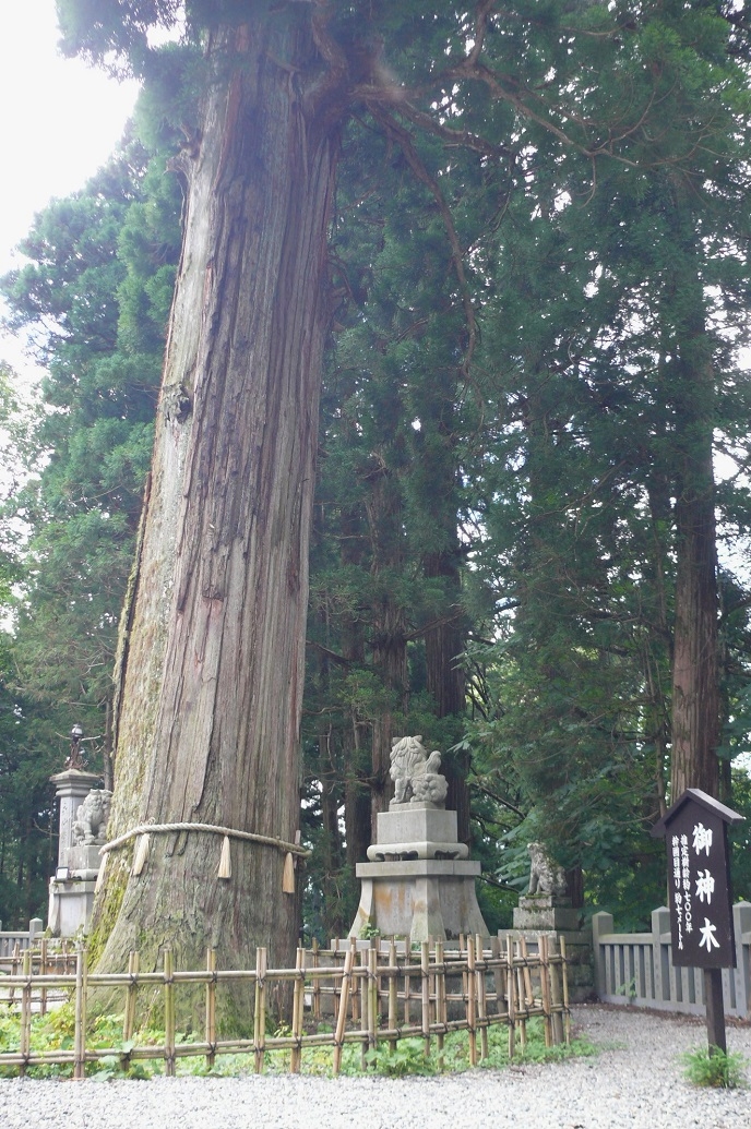http://www.alpico.co.jp/shikinomori/news/images/0fa5a715b2cbe8e72f8f860c4d1571cfff2bf0ed.JPG