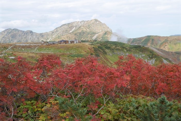 http://www.alpico.co.jp/shikinomori/news/images/1633576248855.jpg
