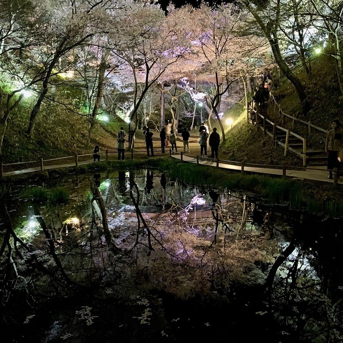 http://www.alpico.co.jp/shikinomori/news/images/1680590894918.jpg