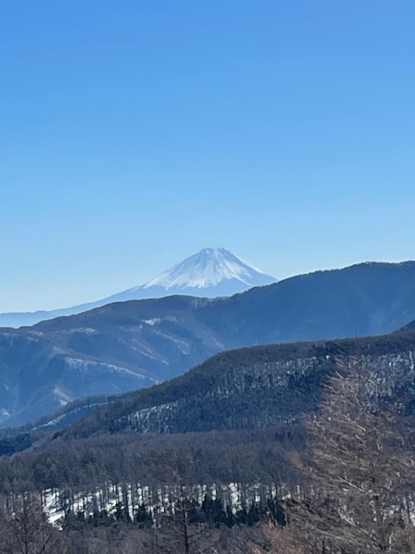 http://www.alpico.co.jp/shikinomori/news/images/1707890624441.jpg