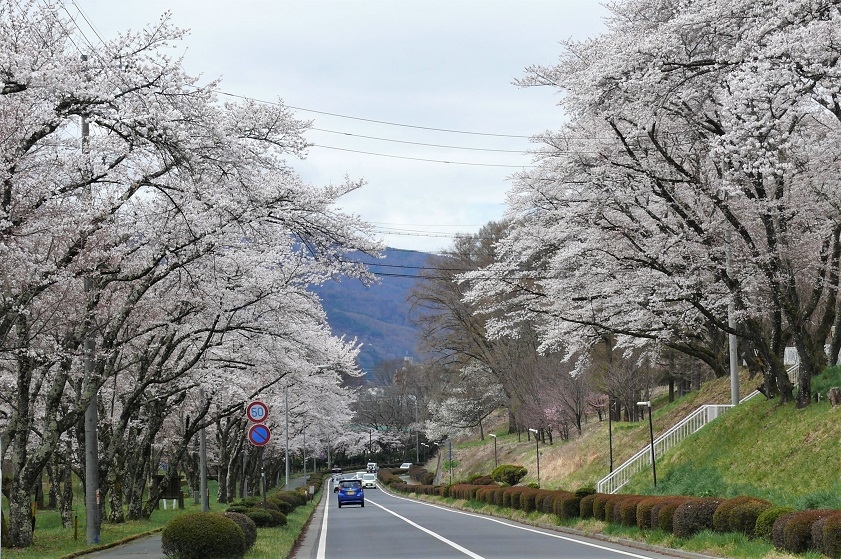 http://www.alpico.co.jp/shikinomori/news/images/1b4413ecb05edf2960ee1f5a6455fc5c2e87b797.JPG