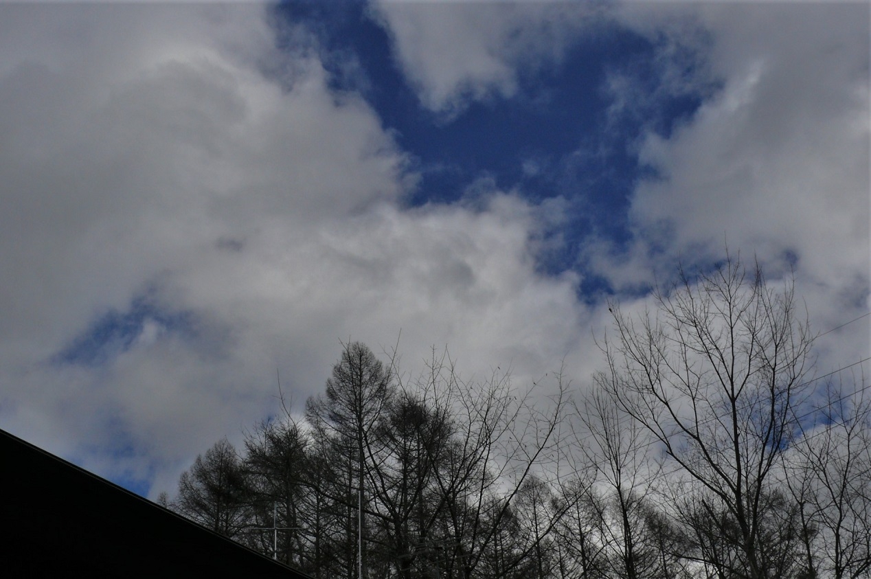 http://www.alpico.co.jp/shikinomori/news/images/1d658feb1146b162e3c6d42a91bb10723275b536.JPG