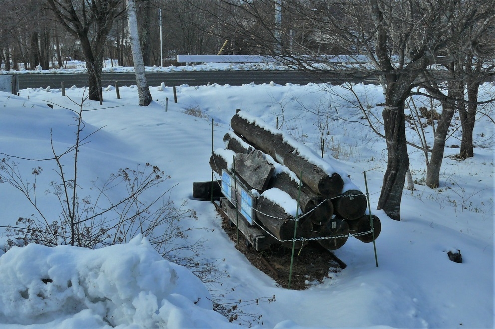 http://www.alpico.co.jp/shikinomori/news/images/1e13f0fc1eee913bbc0028e65edb0bc00bb55886.JPG