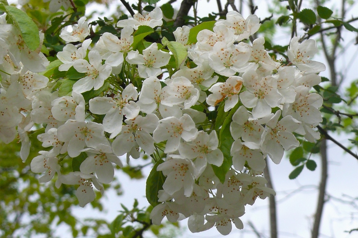 http://www.alpico.co.jp/shikinomori/news/images/1e89c12d5536c49d6aba7029d903481b5fafd55a.JPG
