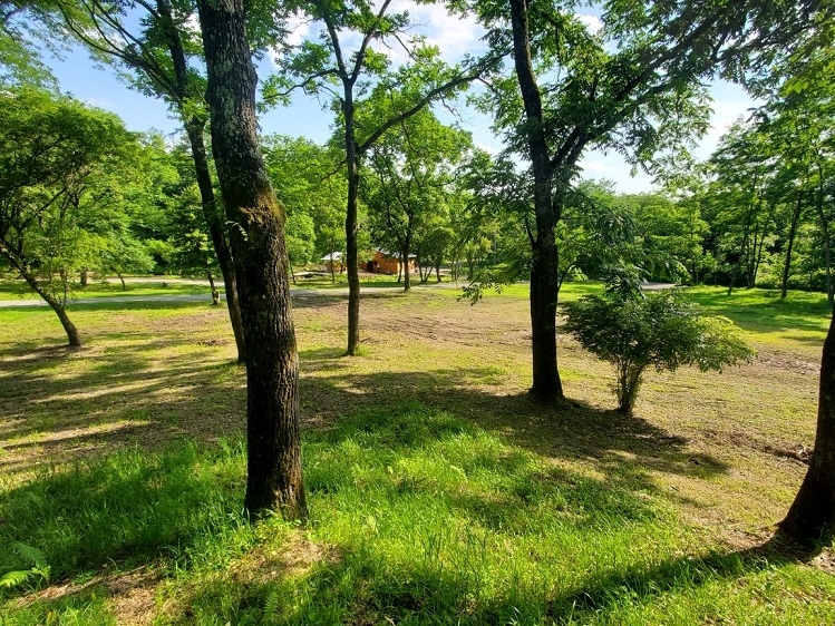 http://www.alpico.co.jp/shikinomori/news/images/2023.7-2.jpg