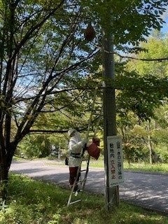http://www.alpico.co.jp/shikinomori/news/images/20240925hatinosutekkyo02.jpg