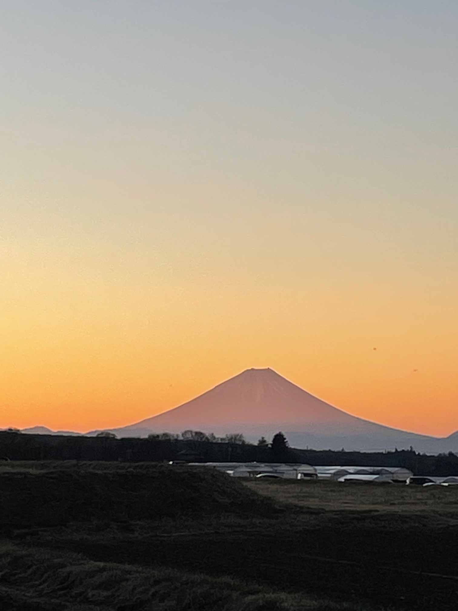 http://www.alpico.co.jp/shikinomori/news/images/20250101-02.jpg