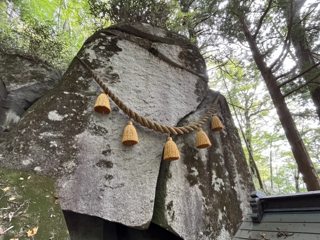 http://www.alpico.co.jp/shikinomori/news/images/25291868_s.jpg