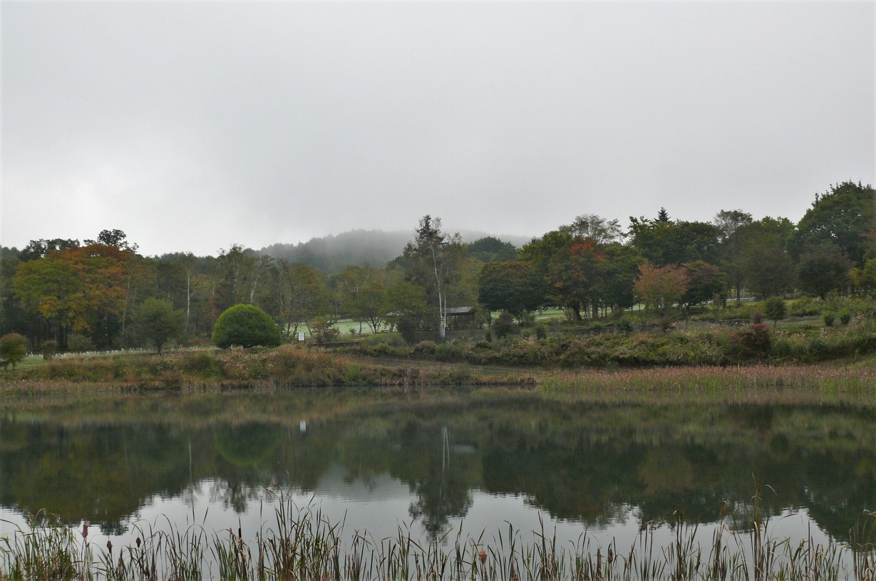 http://www.alpico.co.jp/shikinomori/news/images/2a298f610f64ed3275a9be1b63c987452db1b72f.JPG