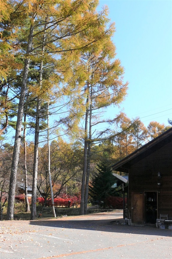 http://www.alpico.co.jp/shikinomori/news/images/2b33b7eacb9ddf198d58c5aff2220abefff2e7eb.JPG