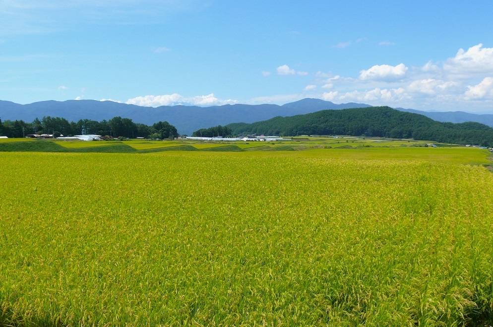 http://www.alpico.co.jp/shikinomori/news/images/2c3bbba8bb5f7d2f97070fa3224ee02fb26194ac.JPG