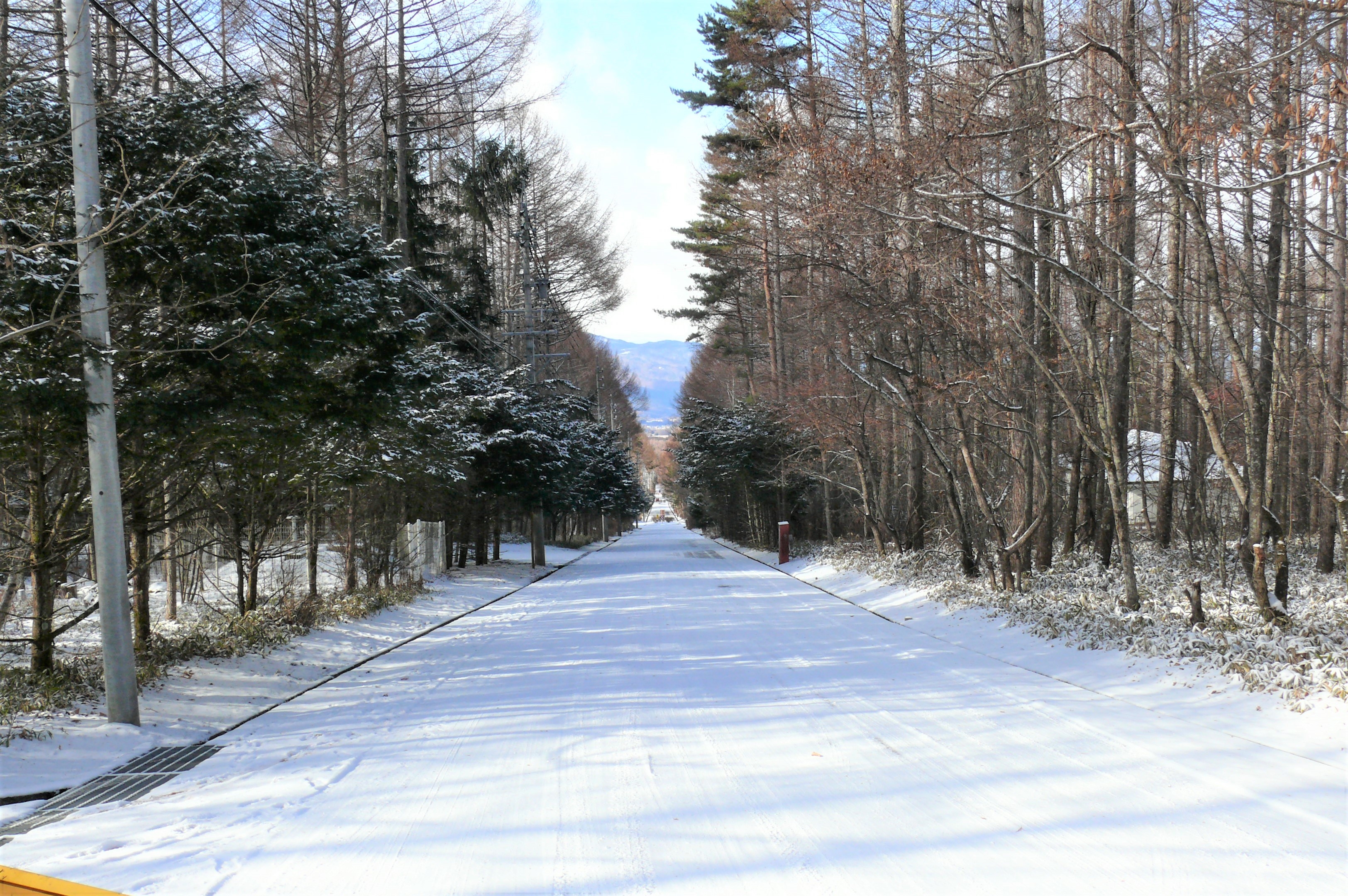 http://www.alpico.co.jp/shikinomori/news/images/3ac1bb0e7ef95e4b26ccfdb153f5a3dba366ccf1.JPG