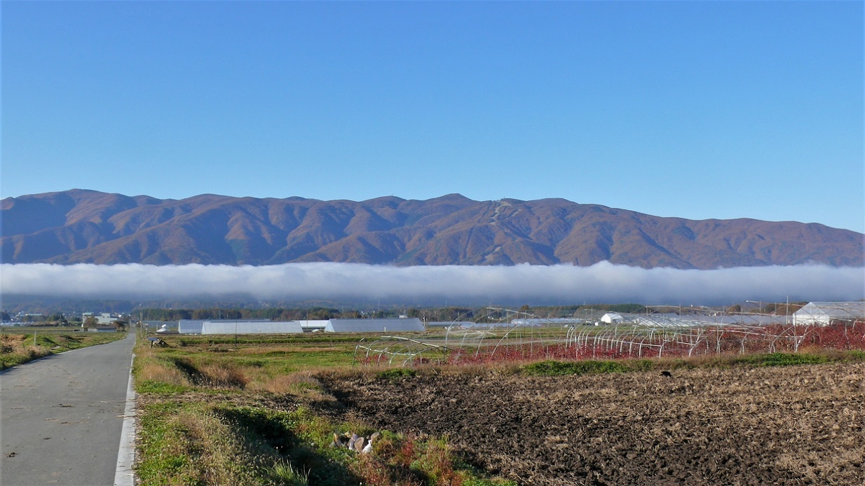 http://www.alpico.co.jp/shikinomori/news/images/3c5e565c170c6bb2f836a96216579d31dd6096ba.JPG