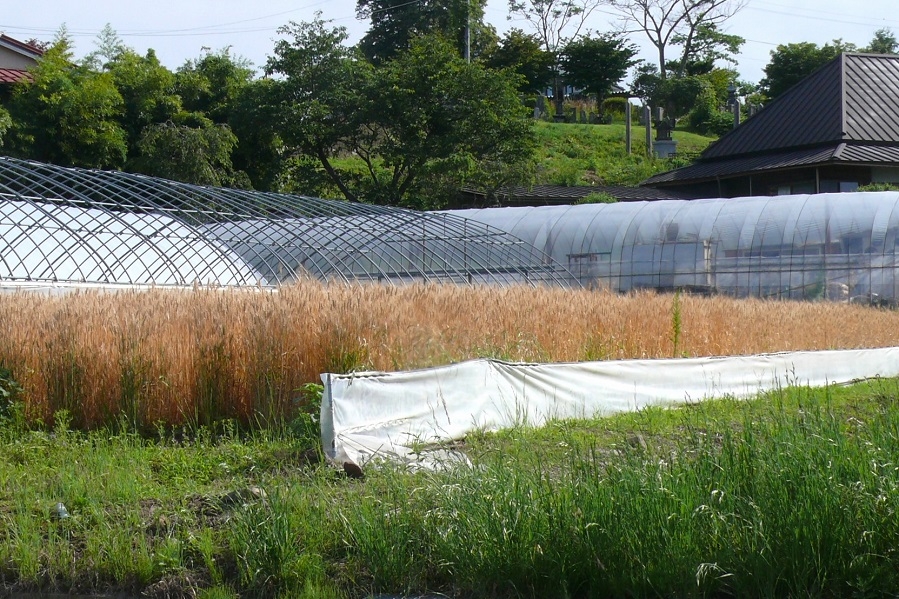 http://www.alpico.co.jp/shikinomori/news/images/4f0f7bcff0e3ab32f2f6a111e6926cc8c9c61bfe.JPG