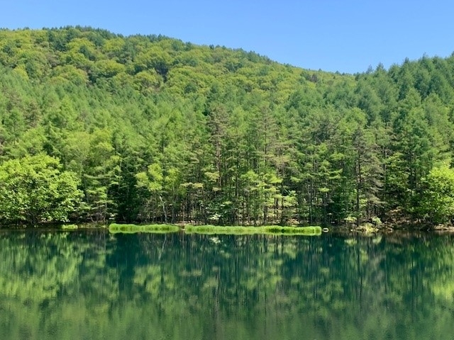 http://www.alpico.co.jp/shikinomori/news/images/51002ea949a8b886fe83ca025645722ccfdbe735.jpg