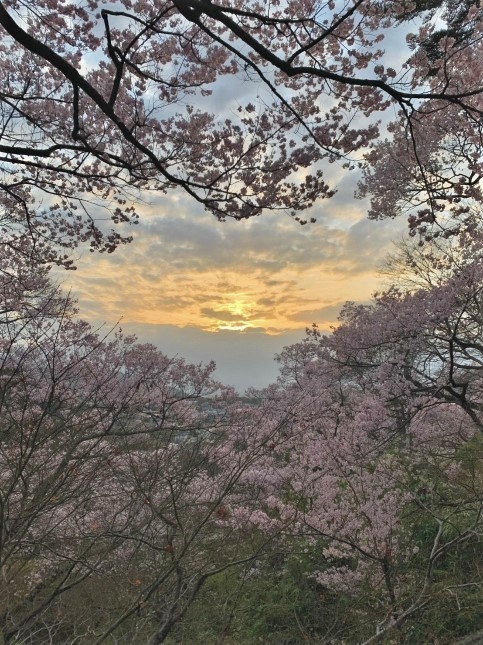 http://www.alpico.co.jp/shikinomori/news/images/51505e900c6c335a35acb06852928c064ac3a4f4.jpg