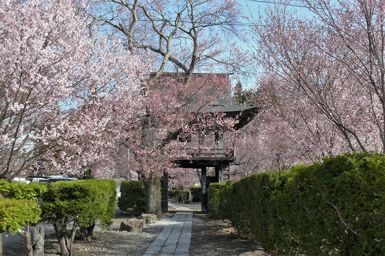 http://www.alpico.co.jp/shikinomori/news/images/57c76b7b3977581cd063a1ceed273692fde86a56.JPG