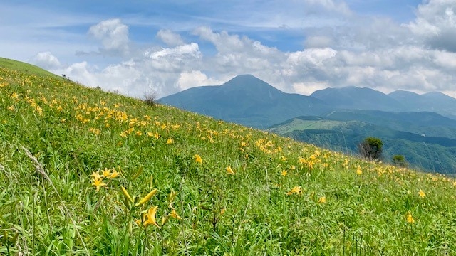 http://www.alpico.co.jp/shikinomori/news/images/67b6a3e5c148585bce333979b40beb7f47e523a7.jpg