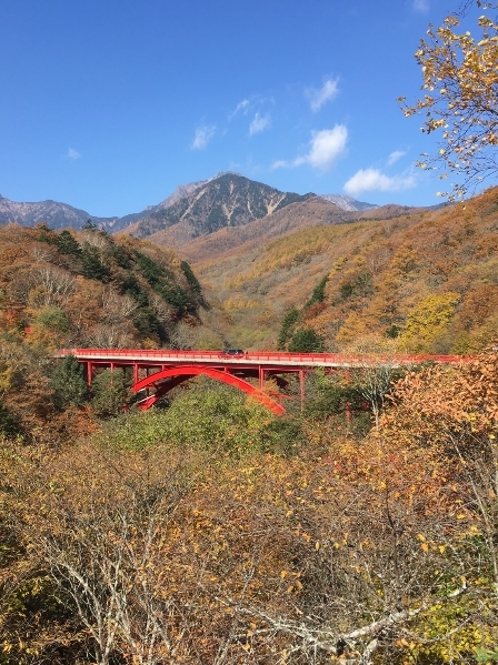 http://www.alpico.co.jp/shikinomori/news/images/6c974bcd3d24d832ec474cac52d0ab9d36bcd50f.jpg