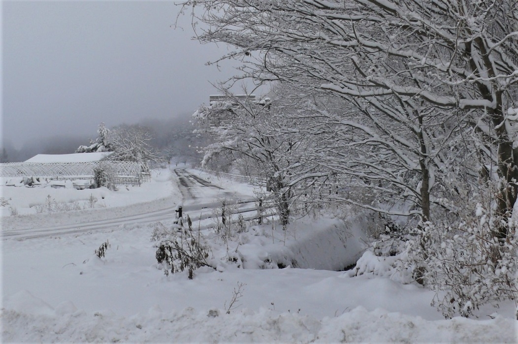 http://www.alpico.co.jp/shikinomori/news/images/6faa6e80004d57b63eabdcc406704bab2c9c06b7.JPG