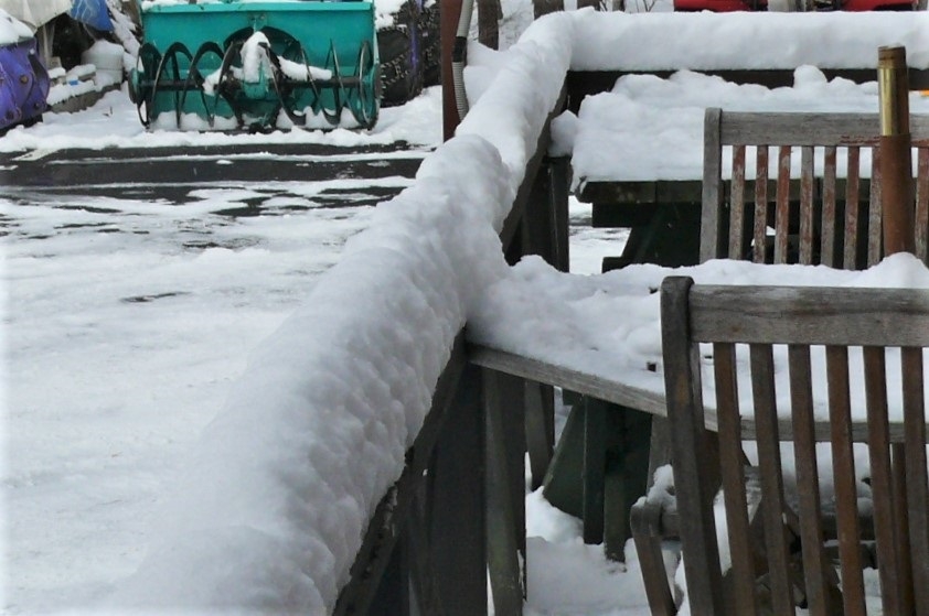 http://www.alpico.co.jp/shikinomori/news/images/893a9e3dcb95fd6d402e0264719697a23fa99071.JPG