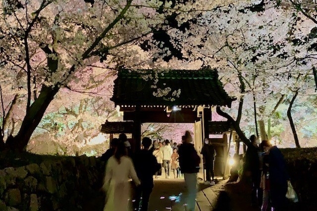 http://www.alpico.co.jp/shikinomori/news/images/8a25afb4f8f3c84b0aeda0dffbdcbe95f3123a77.jpg