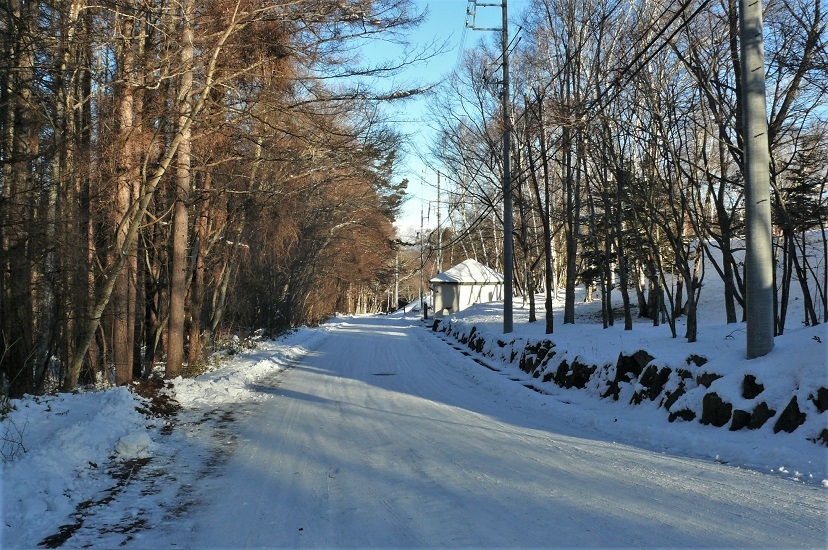 http://www.alpico.co.jp/shikinomori/news/images/8aa353490da453734a82147f842066480ec14b73.JPG