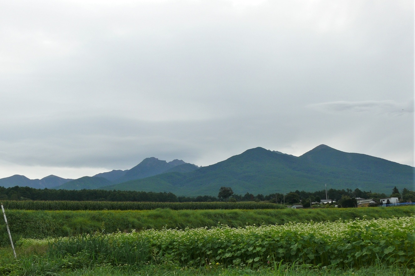 http://www.alpico.co.jp/shikinomori/news/images/8e8070c27bed9304dfb55fd17e8d8eb7c81bf091.JPG