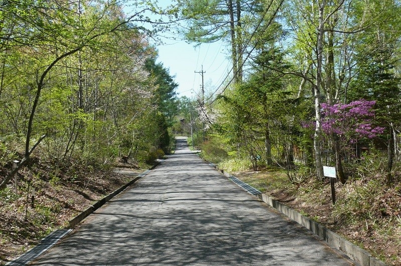 http://www.alpico.co.jp/shikinomori/news/images/9921902f0a0b196ebbeaf7007ea4d8b6c54e48f0.JPG