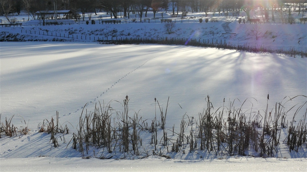 http://www.alpico.co.jp/shikinomori/news/images/9d431038e145076b094c3bc9bb3bc712dec51d52.JPG