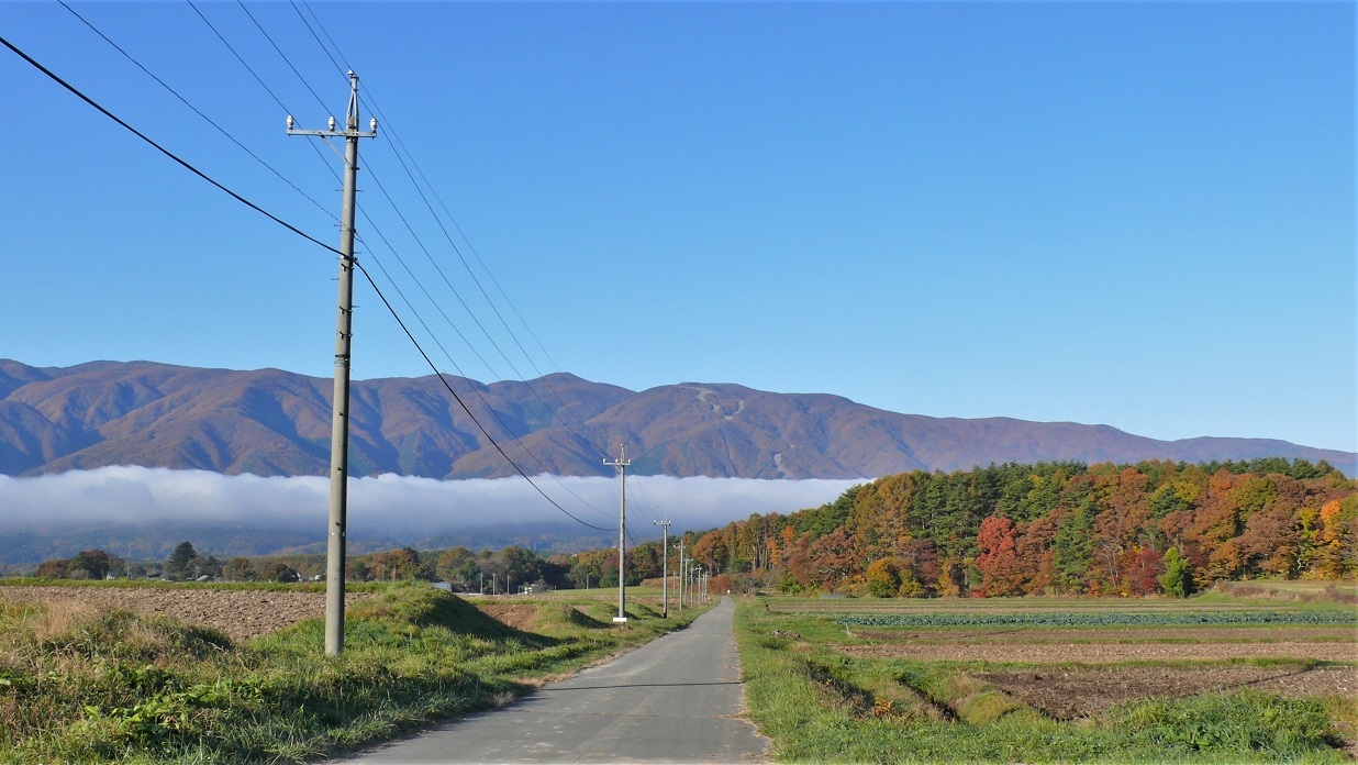 http://www.alpico.co.jp/shikinomori/news/images/9e68b97ba49476661dac13430729646b562c8337.JPG