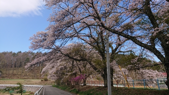 http://www.alpico.co.jp/shikinomori/news/images/DSC_0650.JPG