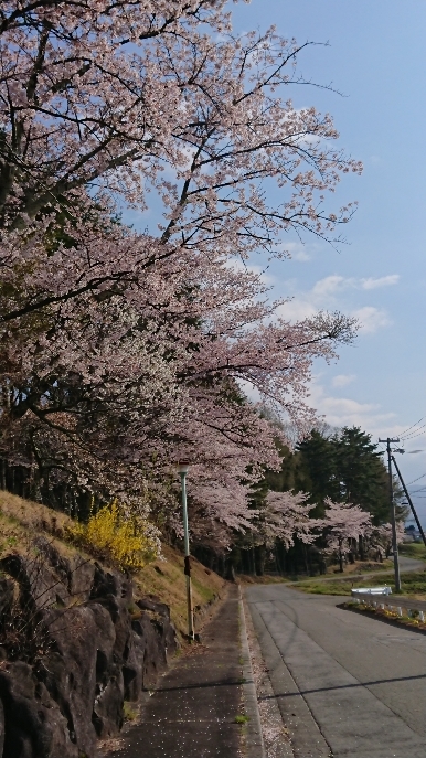 http://www.alpico.co.jp/shikinomori/news/images/DSC_0704.JPG