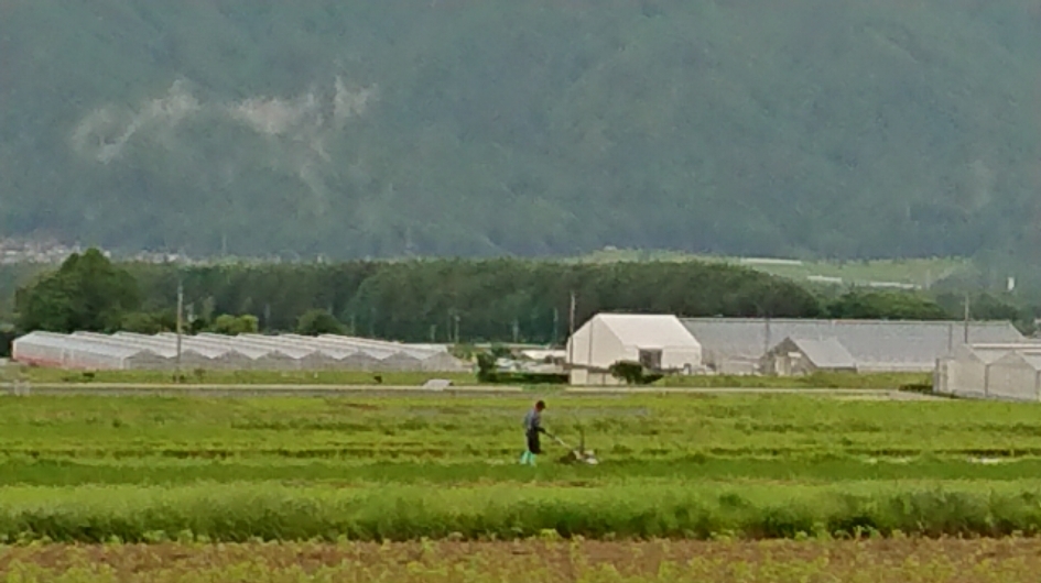 http://www.alpico.co.jp/shikinomori/news/images/DSC_1652.JPG