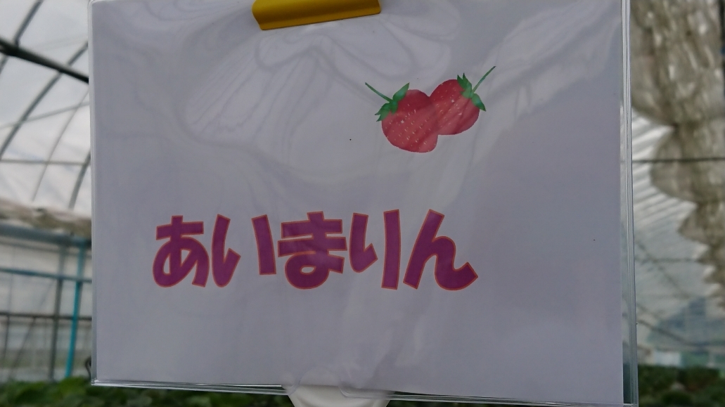 http://www.alpico.co.jp/shikinomori/news/images/DSC_1862.JPG