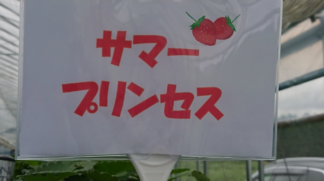 http://www.alpico.co.jp/shikinomori/news/images/DSC_1863.JPG