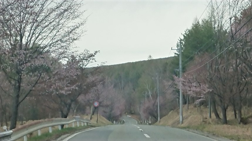 http://www.alpico.co.jp/shikinomori/news/images/DSC_2607.JPG
