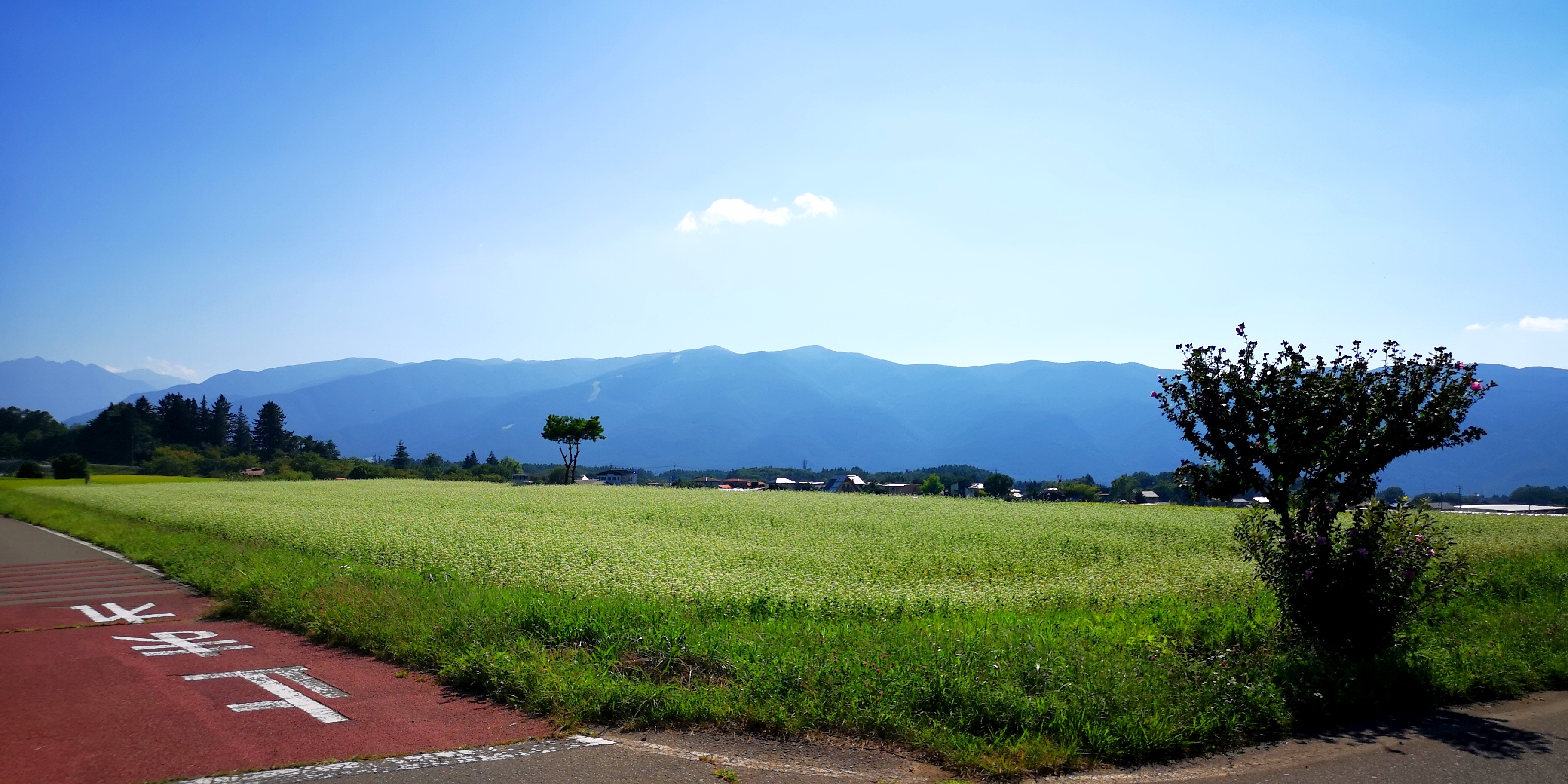 http://www.alpico.co.jp/shikinomori/news/images/IMG_20240906_172944.jpg